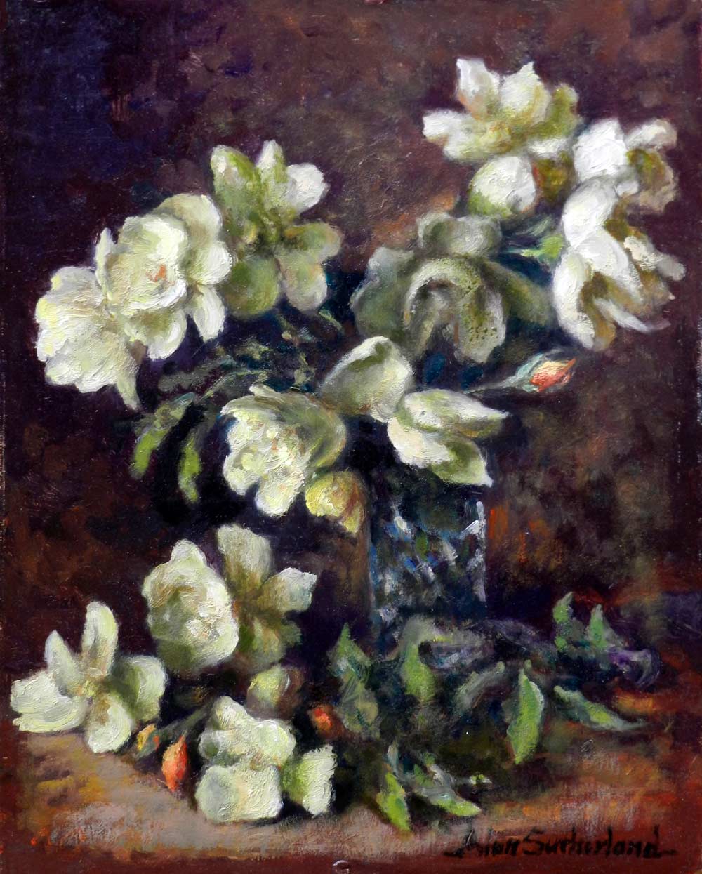 Still life - Still life - White Roses